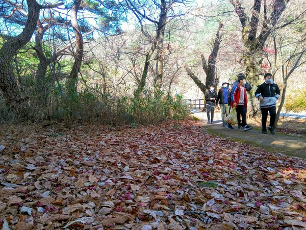 11월의 지리산 초록걸음(사진=최세현)
