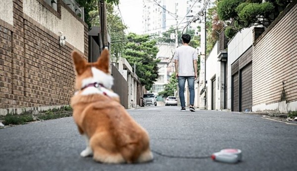 기사와 관련 없는 사진. /게티이미지벵크