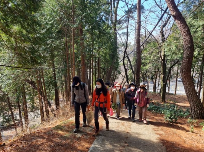 ▶창원장복산숲은 편백과 벚나무 어우러진 숲으로 유치원숲 교육장으로 활용되고 있다.