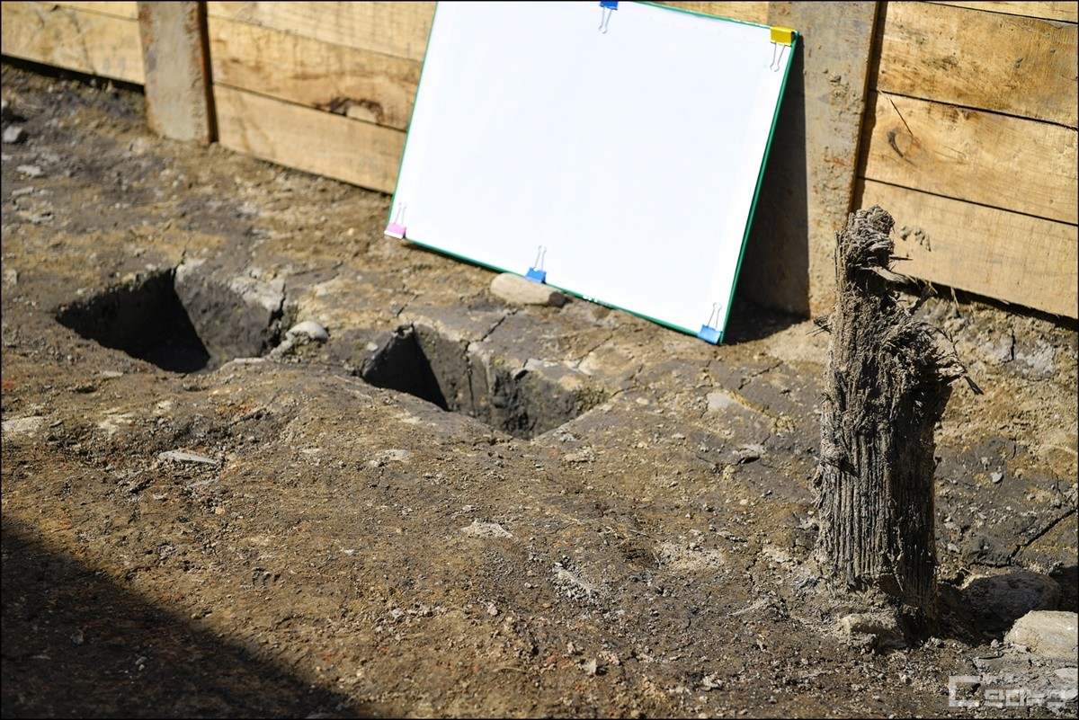 인골 주변에서 발견된 나무기둥, 방어진지 구축에 사용된 것으로 추정된다. /사진=유근종