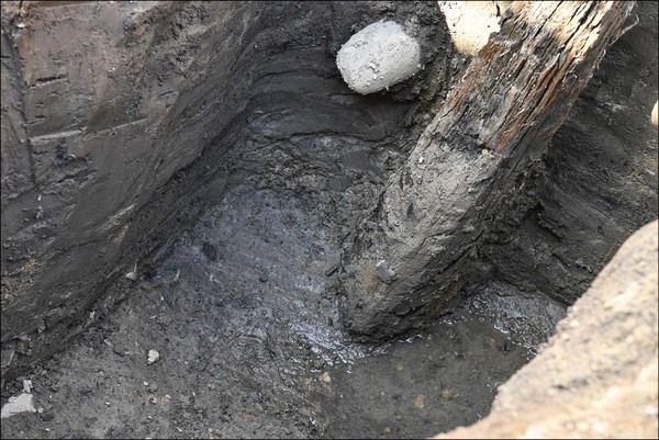 인골 주변에서 발견된 나무기둥, 방어진지 구축에 사용된 것으로 추정된다. /사진=유근종