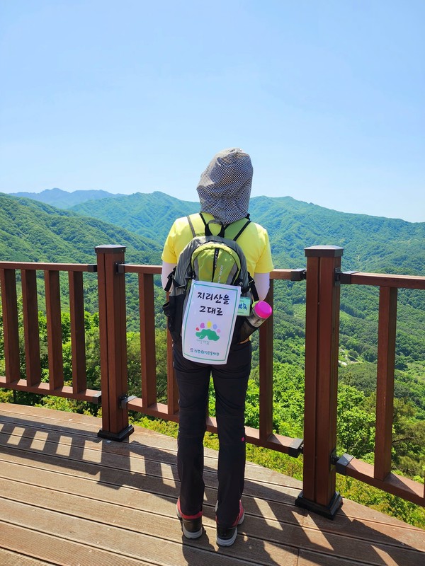 ‘지리산을 그대로’ 배낭 깃발이 달려 있어 더 아름다운 초록걸음 길동무들의 뒷모습