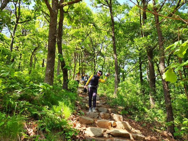 초록으로 물든 지리산을 걷는 길동무들의 혈액형은 초록형이라는...