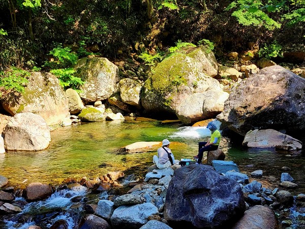 오봉계곡 그 푸른 물에 발을 담그다.