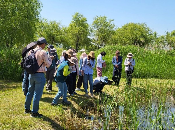 부산 삼락생태공원. 윤혜숙해설사 안내로 부산 삼락생태공원에 사는 다양한 식물에 대해 자세히 알아보는 시간을 가졌다.