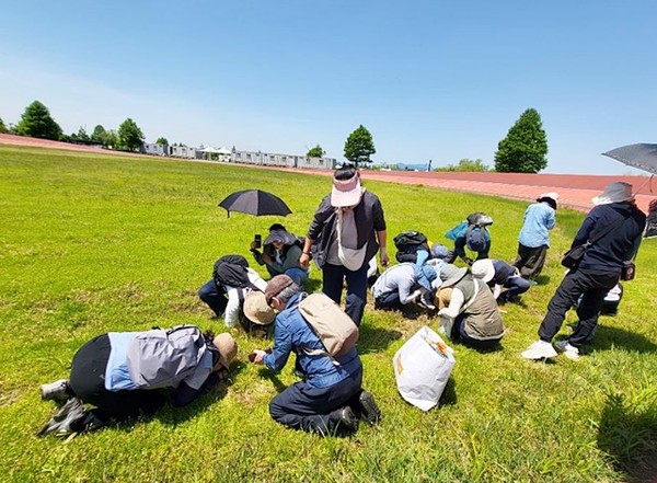 부산 삼락생태공원 작은꽃 자세히 관찰하기.