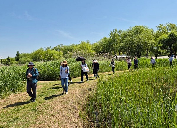 부산 삼락생태공원.