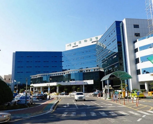 경상대병원 사직 처리 마감 결과 163명 중 8명(인턴,레지던트 포함)이 복귀 의사를 밝힌 것으로 나타났다. 