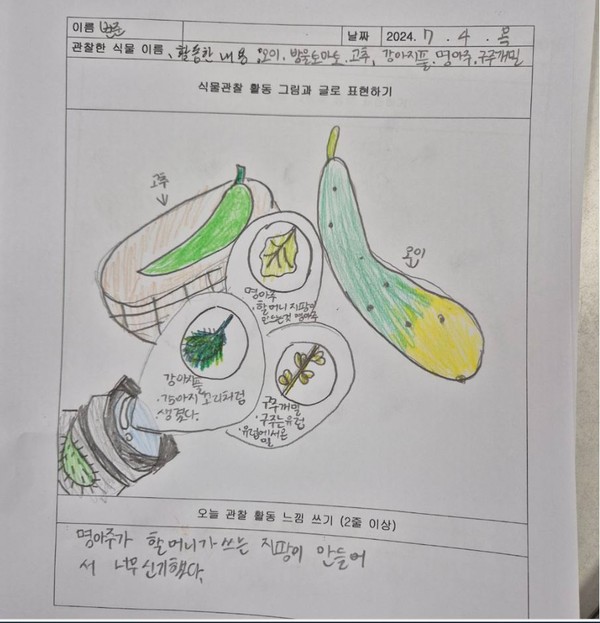 그날 관찰활동한 내용을 일지에 썼다.