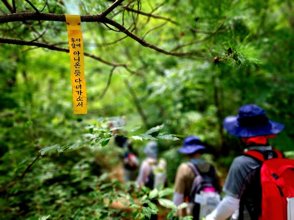 나무에 매달린 후야 할배의 길 알림 리본이 길동무들의 가슴에 콕 박히다.
