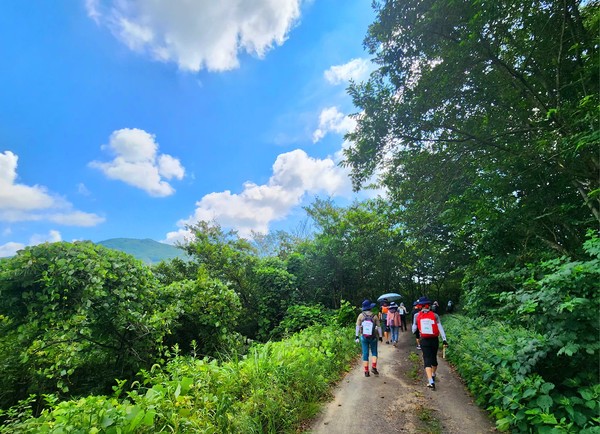 뭉게구름을 이고 둘레길을 걷는 길동무들의 뒷모습은 언제 봐도 아름답다.