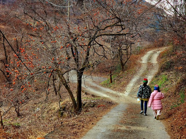 이번 초록걸음 길동무 중 막내였던 예빈이와 해리 자매