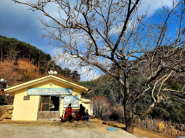 점심 식사 장소였던 유점교회, 호두나무가 있어 더 아름다운...