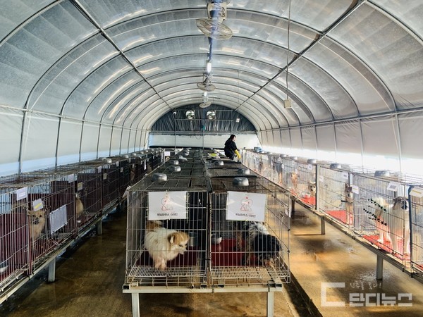 현재 진주시 동물보호센터 내부 모습. 