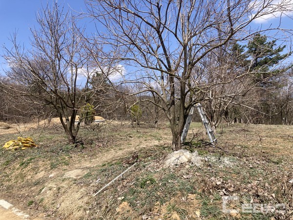 함양군의회 양인호 군의원(국민의힘, 안의·지곡·서상·서하)이 국공유지를 무단으로 점유하여 부모의 묘소와 자신의 농지로 이용하고 있으며, 해당 부지로 이어지는 도로는 특혜성 공사로 포장되었다는 의혹을 제기했다.(사진제공 함양난개발대책위원회 최상두)