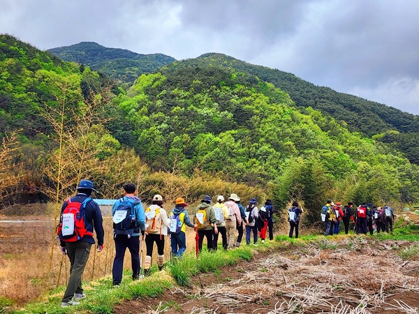 청암면 평촌마을 밭둑을 지나는 길동무들Ⓒ숲샘 최세현