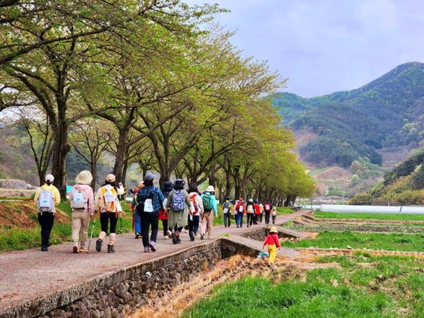 초록걸음 길동무들은 언제나 뒷모습이 더 아름답다. Ⓒ숲샘 최세현