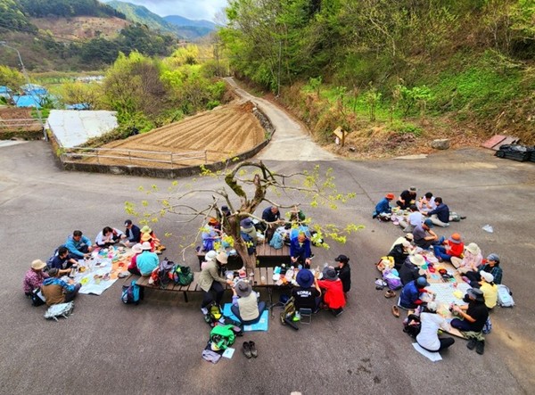 감나무가 외로이 지키고 있는 관점마을회관 앞마당에서 맛난 점심을 먹다. Ⓒ숲샘 최세현