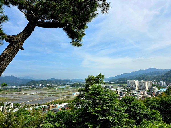 하동읍과 저 멀리 섬진강까지 탁 트인 풍경으로 초록걸음을 마무리하다.ⓒ숲샘 최세현