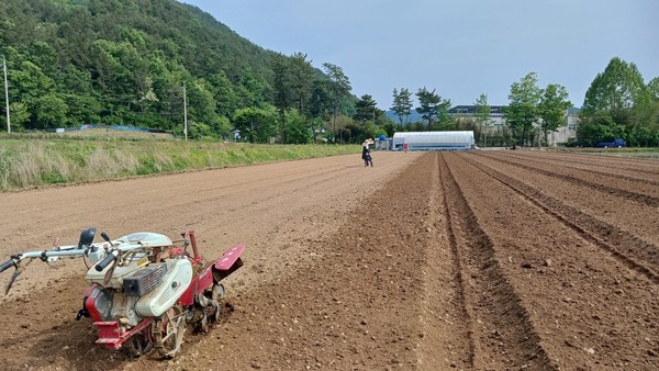 폭염 속 광제산 골짜기 농부의 일상 ⓒ강병성 농부