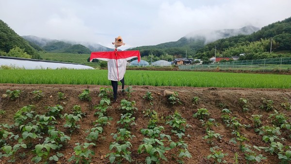 폭염 속 광제산 골짜기 농부의 일상 ⓒ강병성 농부
