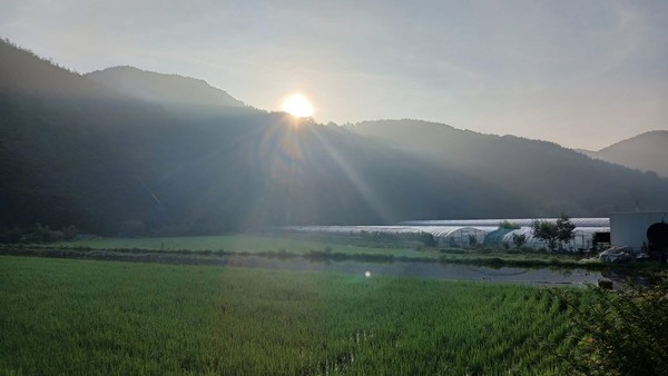  폭염 속 광제산 골짜기 농부의 일상 ⓒ강병성 농부