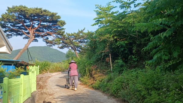 폭염 속 광제산 골짜기 농부의 일상 ⓒ강병성 농부