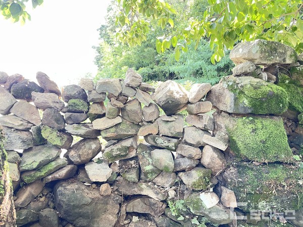 도로 침수로 119구급차량이 진입하지 못하자, 인근 요양원 원장의 도움으로 노인을 대피시킬 수 있었다는 미담이 전해졌다.