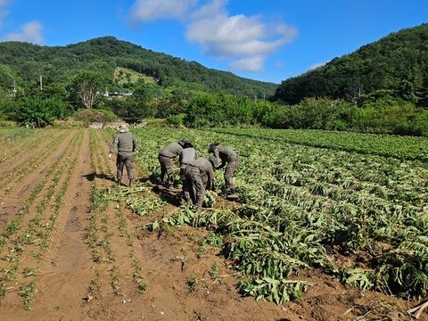 오늘(22일), 육군 39사단 8962부대 1대대(박종곤 중령) 소속 진주·사천 대대 장병 30명이 명석면 덕곡리를 찾아와 복구 지원에 나섰다. 