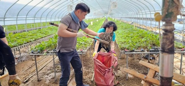 신현국(국민의힘, 명석· 대평· 수곡· 이현· 판문)의원 또한 22일 명석면과 수곡면 복구 현장을 찾아 자원봉사자 및 단체들과 함께 진흙 제거, 담장 정비, 침수된 주택 내 정리 작업에 힘을 보탰다.