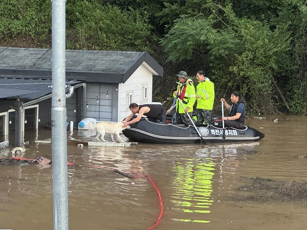 지난 19일 사봉면 방촌마을에는 특전사수난구조대 봉사자들이 수해로 떠내려온 개를 구조하고 있는 모습 ⓒ최민국 의원