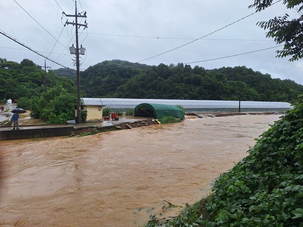 “앞으로가 더 걱정” 농민들, 진주시 미천면 꽈리고추 농가 수해 피해 호소 ⓒ더불어민주당 진주시위원회(을)