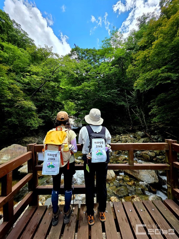 초록걸음 길동무들은 언제나 뒷모습은 더 아름답다.