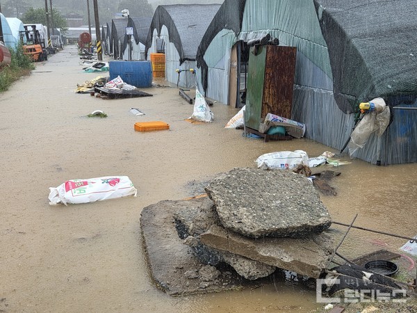잇단 재해에 무너진 진주 수곡면…전국 최대 딸기 산지의 깊은 시련 ⓒ수곡면농민회