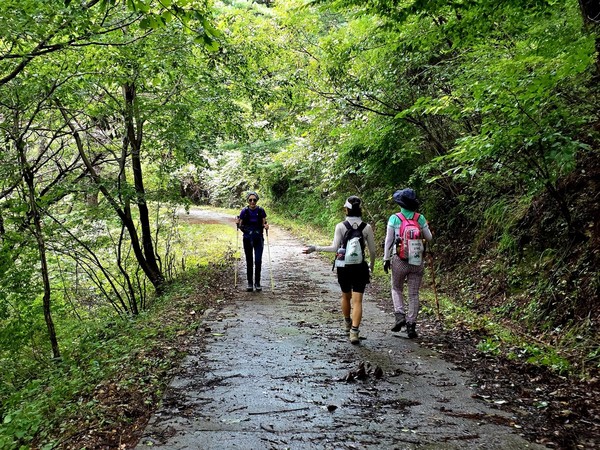 신촌재로 향하는 길동무들, 뒷모습이 더 아름답고 정직하다.