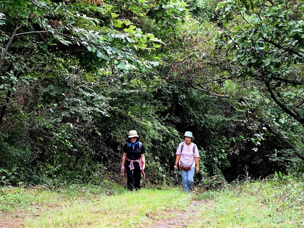 초록 숲이 배경이라 더 아름다운 길동무들