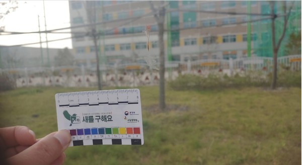 은하수 초등학교 앞 방음벽 유리창에 새들이 부딪힌 흔적이 선명하다. 사진제공 국립생태원 김영준 박사