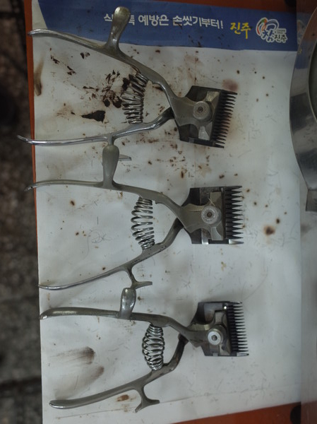 박성진의 인터뷰 수정이용원