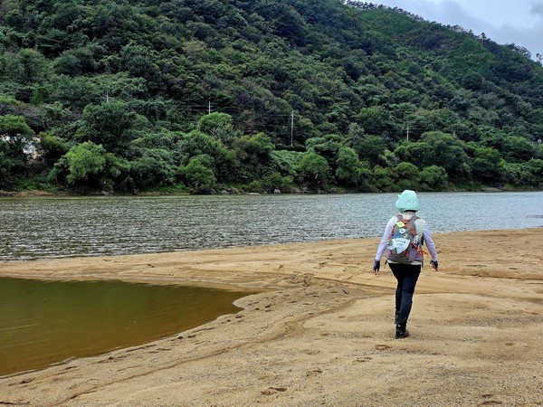 반짝이는 윤슬을 바라보며 그 보드라운 섬진강 백사장을 밟다. ⓒ숲샘 최세현 
