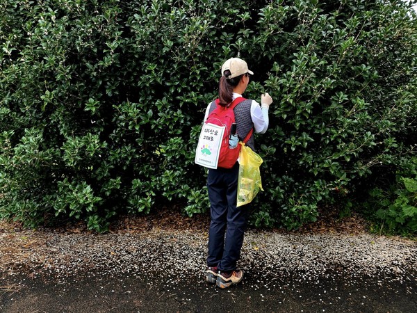 반짝이는 윤슬을 바라보며 그 보드라운 섬진강 백사장을 밟다.은목서 그 향긋한 꽃잎도 어느새 하롱하롱 지고 ⓒ숲샘 최세현 